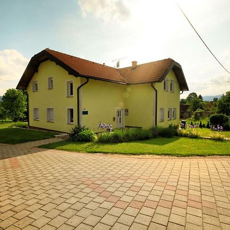 Apartment & Rooms Arija Drežnik Grad المظهر الخارجي الصورة