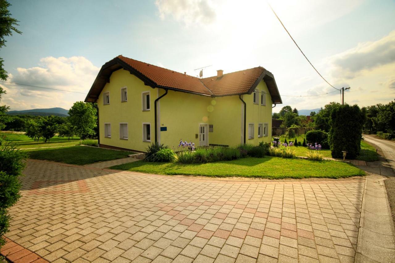Apartment & Rooms Arija Drežnik Grad المظهر الخارجي الصورة