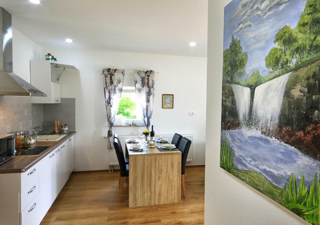 Apartment & Rooms Arija Drežnik Grad المظهر الخارجي الصورة